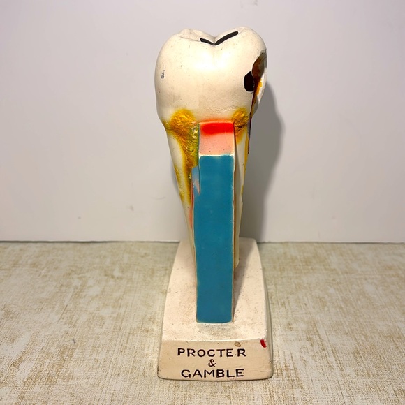 Procter & Gamble Vintage Tooth Model for Gingivitis 1960's (By Crest) - Picture 2 of 8